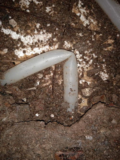 勃利堵点精准查找